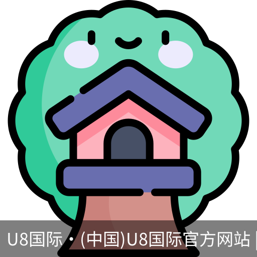 U8国际